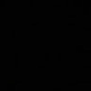 Meet your Posher, Ani